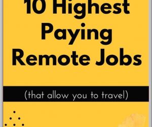 10 Finest Paying Remote Jobs