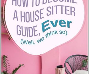 How to Become a House Sitter & Where to Find Jobs